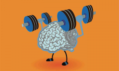 研究表明：经常锻炼可让大脑年轻10岁
